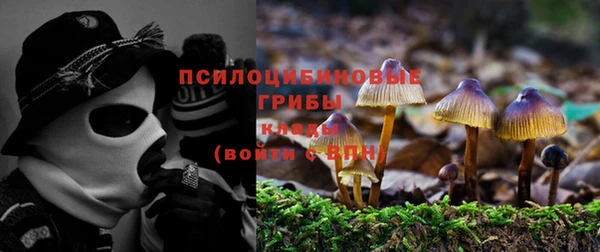 mdma Верея